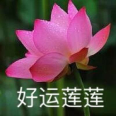 【图集】西安大雁塔景区、大唐不夜城步行街暂停开放